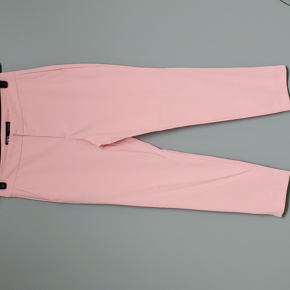 Zara ankle length pants.